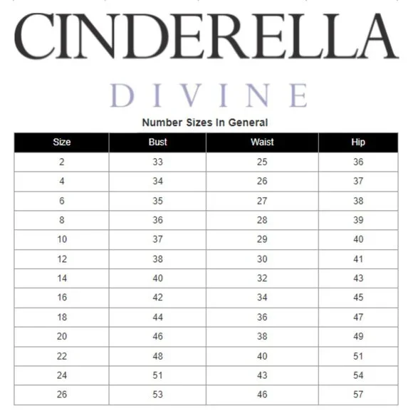 NWT Ladivine CA115 Sleeveless Satin Prom Dress Metallic Gold Size 8 - Picture 6 of 7